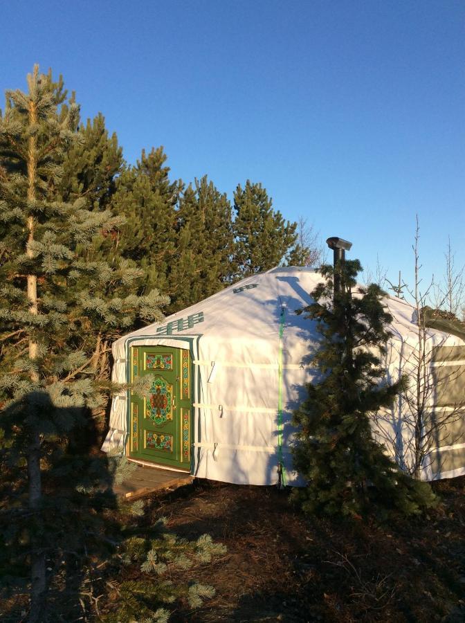 Valhalla Yurts Odin Selfoss Ngoại thất bức ảnh